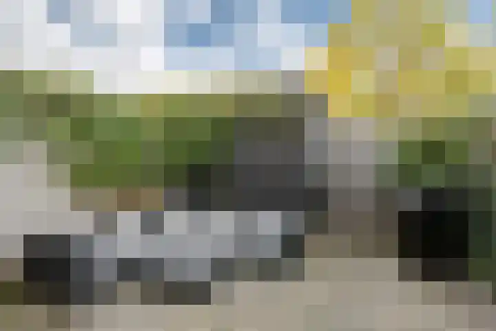 Grutto 7 Ouderkerk aan de Amstel thumbnail 22