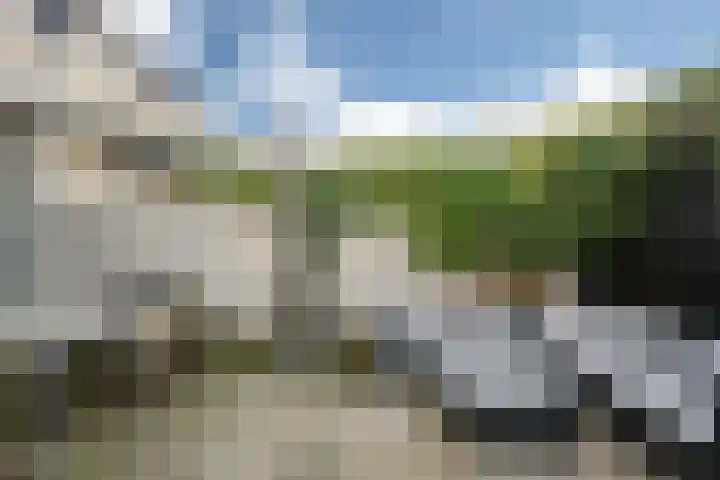 Grutto 7 Ouderkerk aan de Amstel thumbnail 23