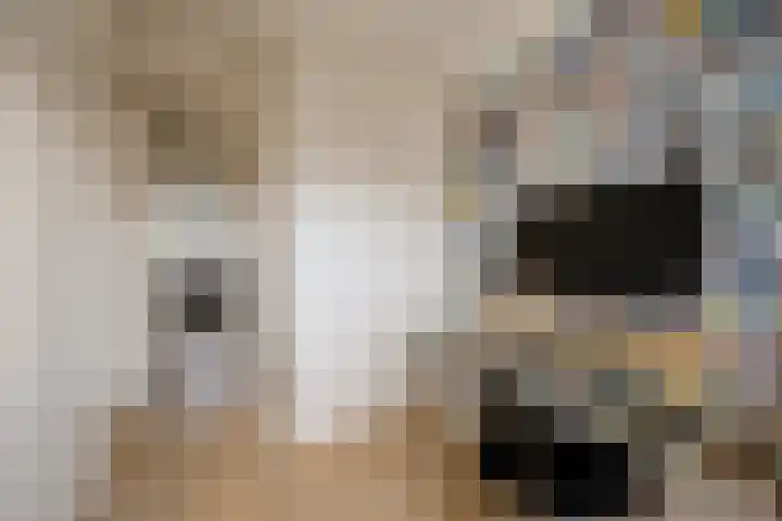 Grutto 7 Ouderkerk aan de Amstel thumbnail 33