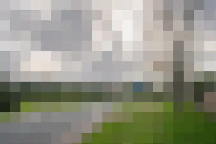 Grutto 7 Ouderkerk aan de Amstel thumbnail 45