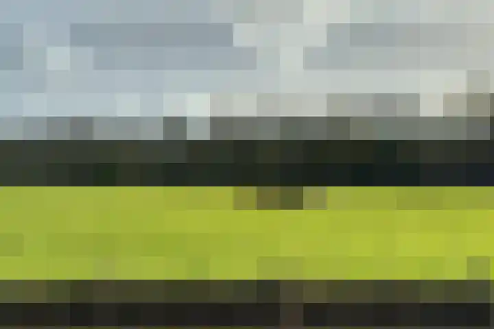 Grutto 7 Ouderkerk aan de Amstel thumbnail 46