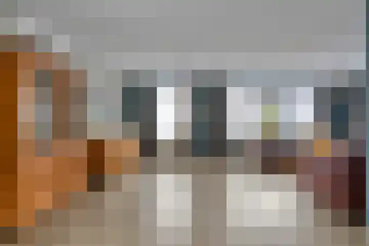 Grutto 7 Wijhe thumbnail 10