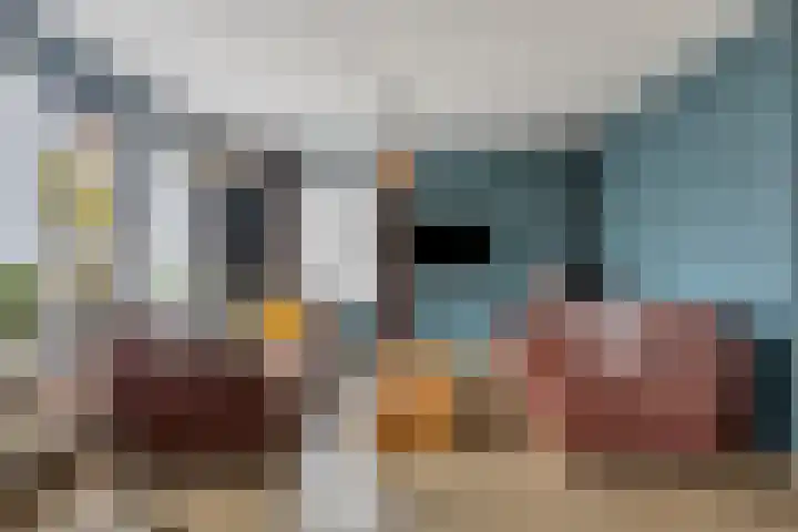 Grutto 7 Wijhe thumbnail 11