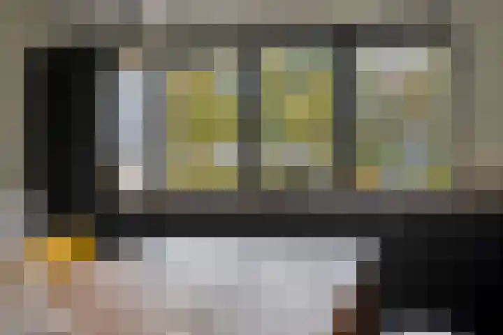 Grutto 7 Wijhe thumbnail 14