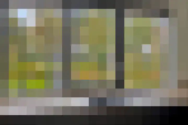 Grutto 7 Wijhe thumbnail 15