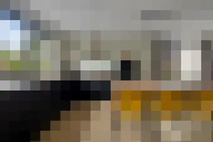 Grutto 7 Wijhe thumbnail 16