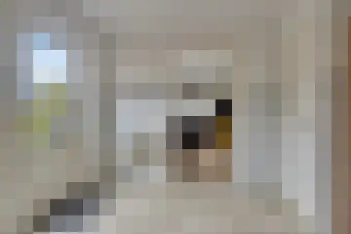 Grutto 7 Wijhe thumbnail 17