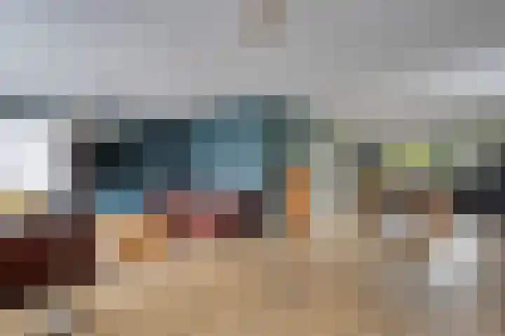 Grutto 7 Wijhe foto 2