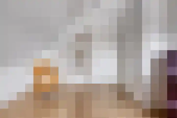Grutto 7 Wijhe thumbnail 24