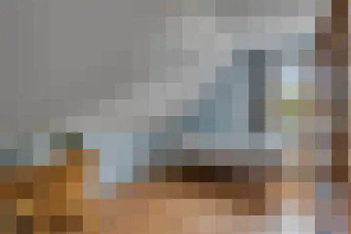 Grutto 7 Wijhe thumbnail 27