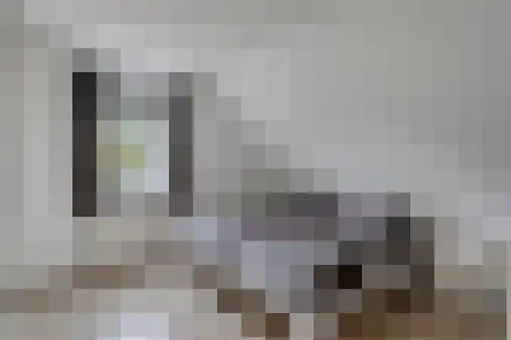 Grutto 7 Wijhe thumbnail 29
