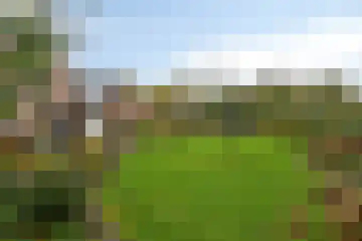 Grutto 7 Wijhe foto 3