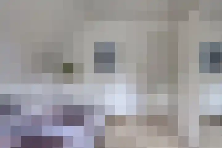 Grutto 7 Wijhe thumbnail 30