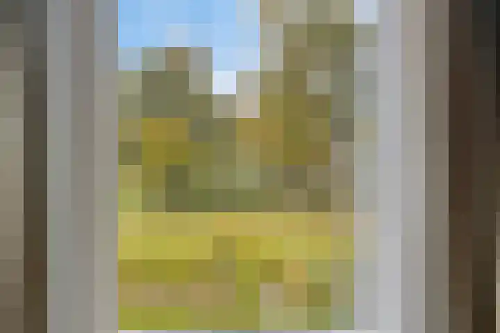 Grutto 7 Wijhe thumbnail 31