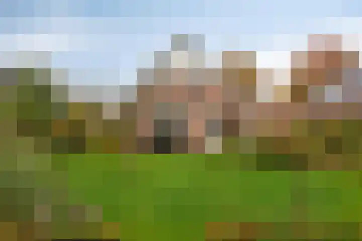 Grutto 7 Wijhe thumbnail 32
