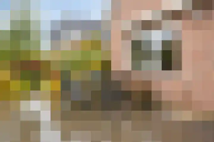 Grutto 7 Wijhe thumbnail 33