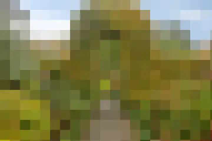 Grutto 7 Wijhe thumbnail 34