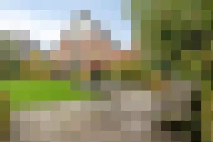 Grutto 7 Wijhe thumbnail 35