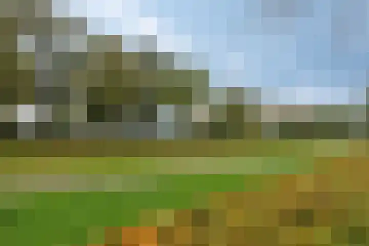Grutto 7 Wijhe thumbnail 36