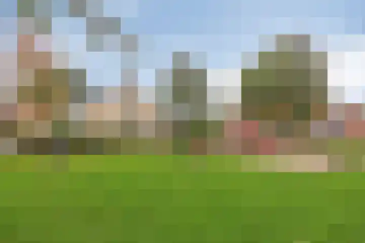 Grutto 7 Wijhe thumbnail 37