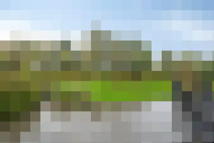 Grutto 7 Wijhe thumbnail 4