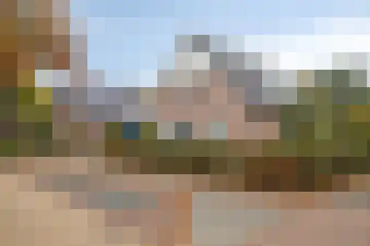 Grutto 7 Wijhe thumbnail 7