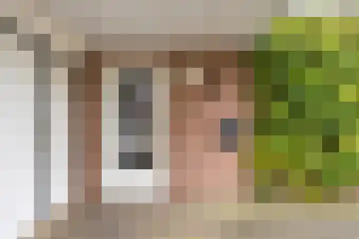 Grutto 7 Wijhe thumbnail 8