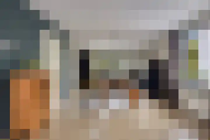 Grutto 7 Wijhe thumbnail 9