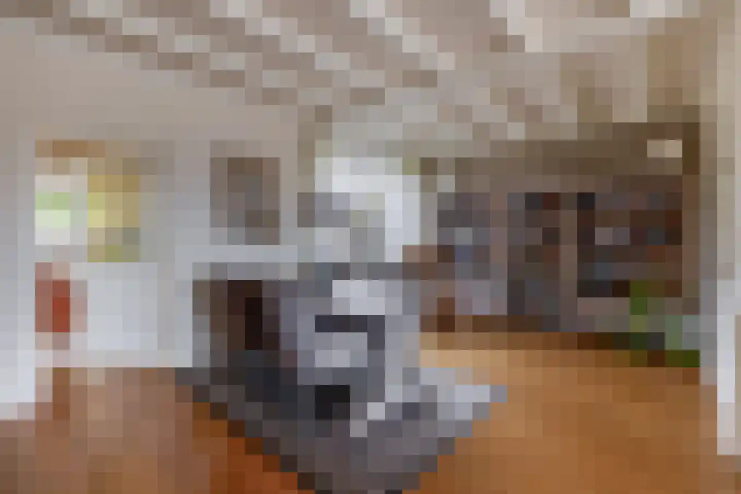 Grutto 8 Sommelsdijk thumbnail 10