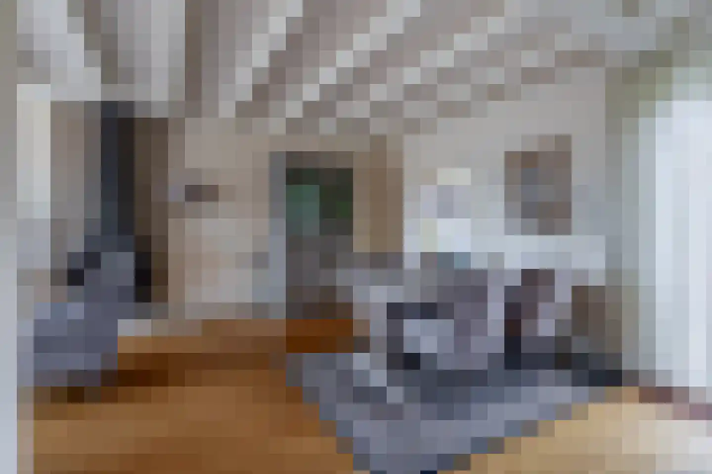 Grutto 8 Sommelsdijk thumbnail 11