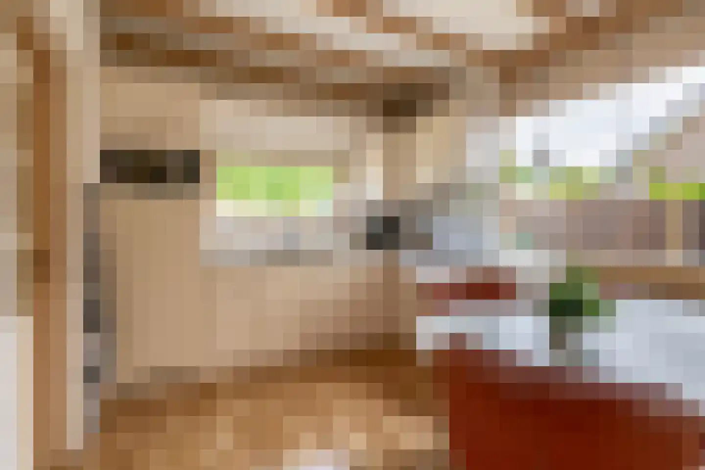 Grutto 8 Sommelsdijk thumbnail 12