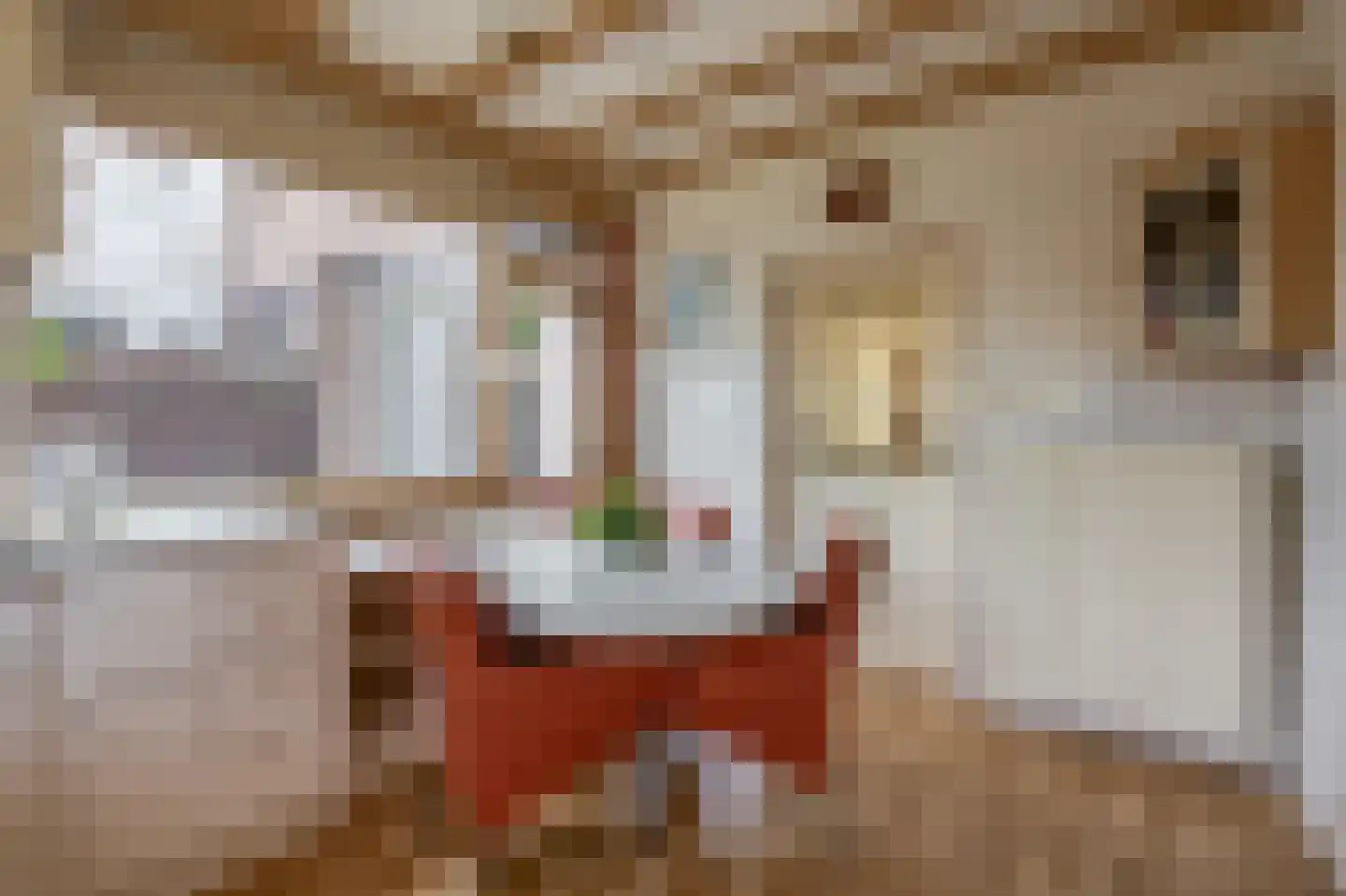 Grutto 8 Sommelsdijk thumbnail 13