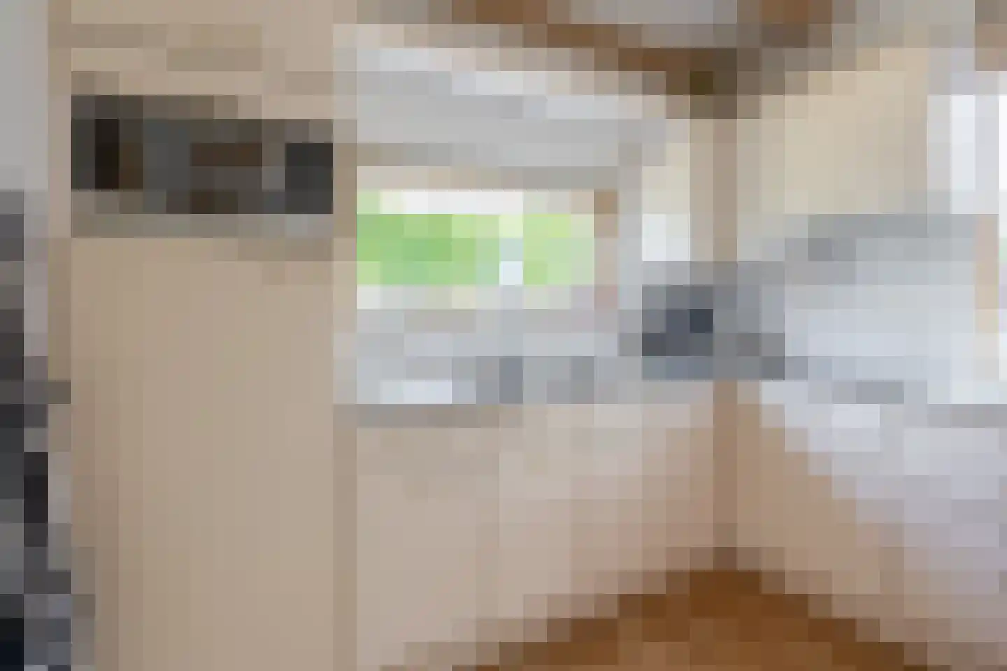 Grutto 8 Sommelsdijk thumbnail 14