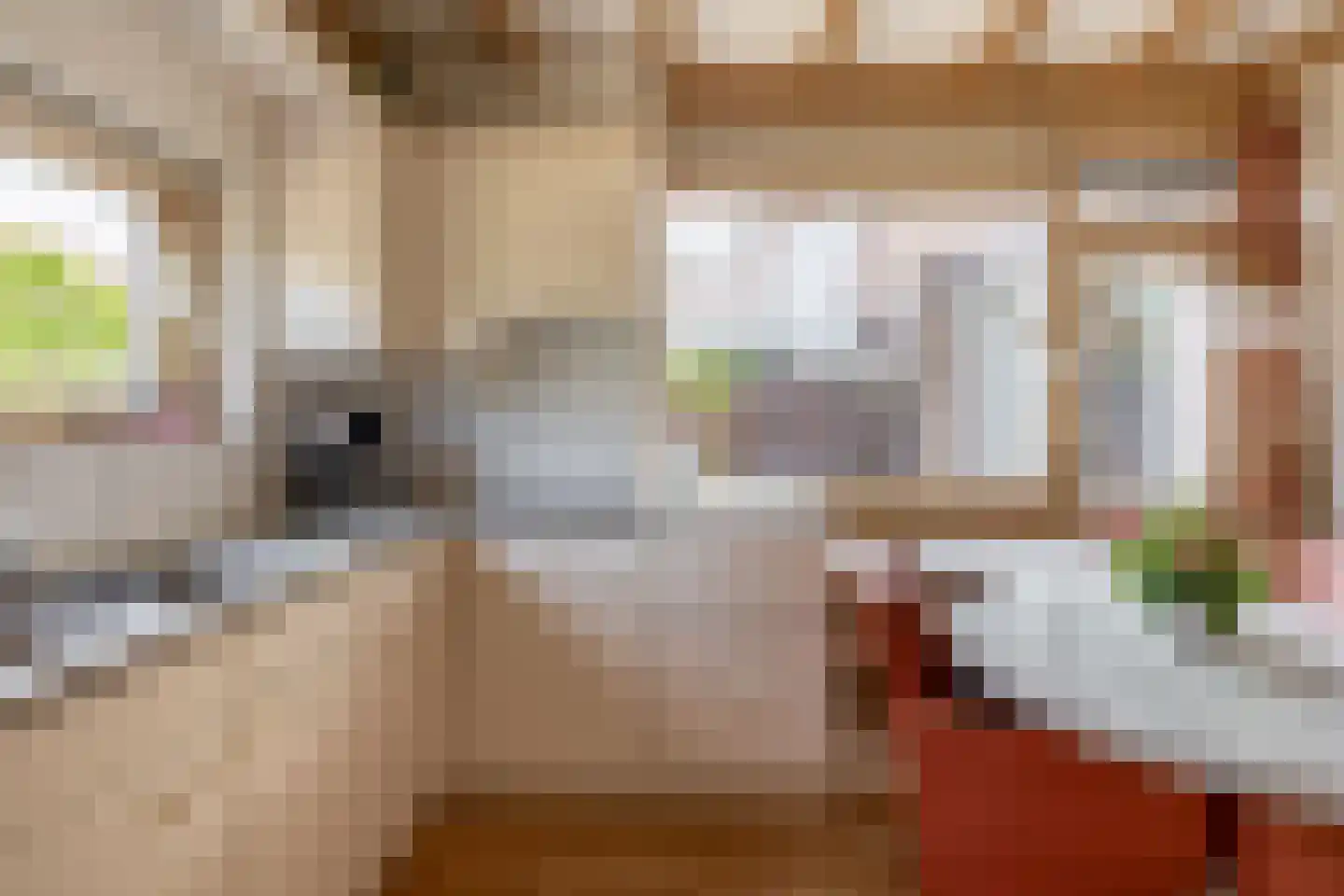 Grutto 8 Sommelsdijk thumbnail 15