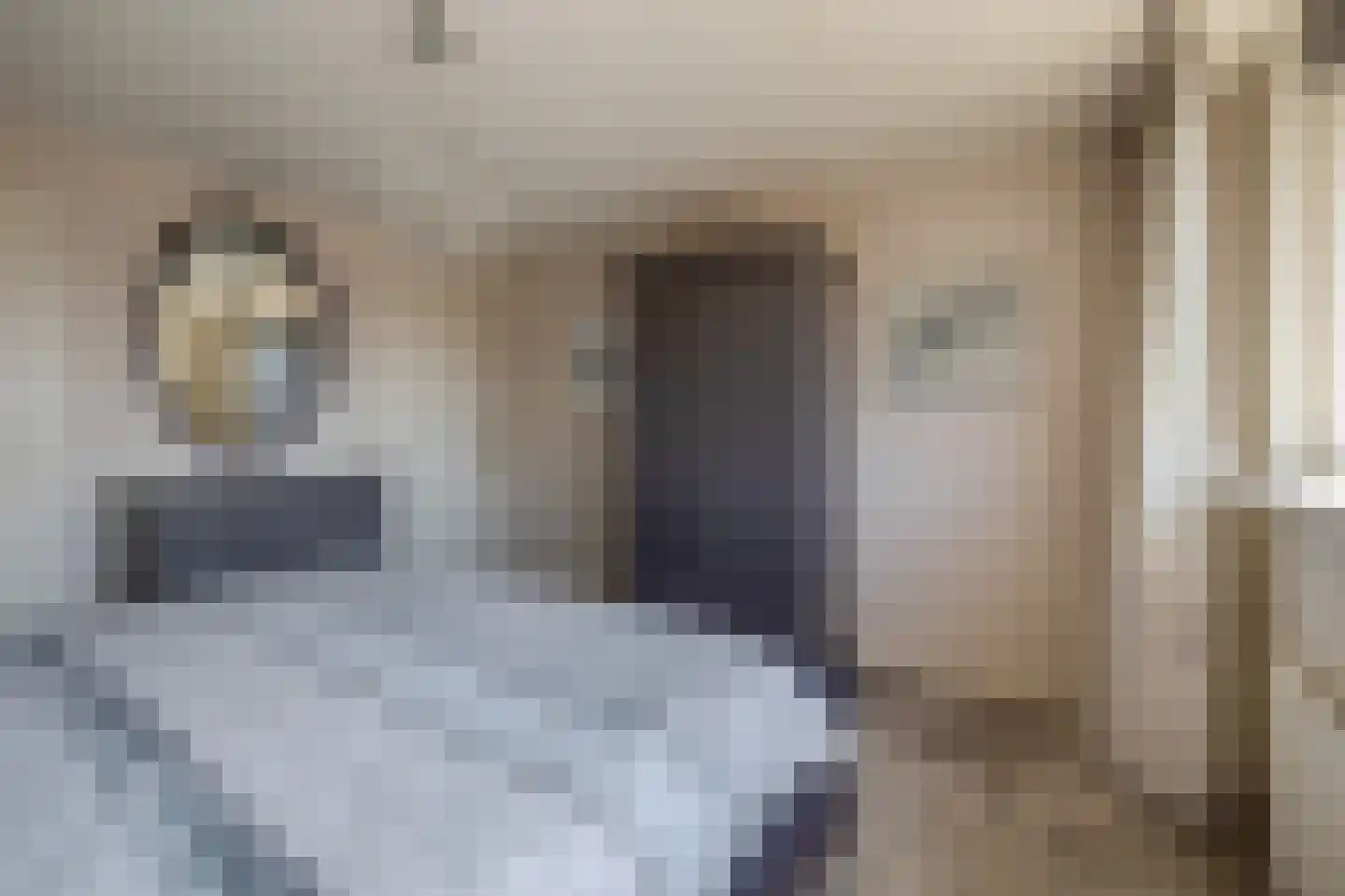 Grutto 8 Sommelsdijk thumbnail 20