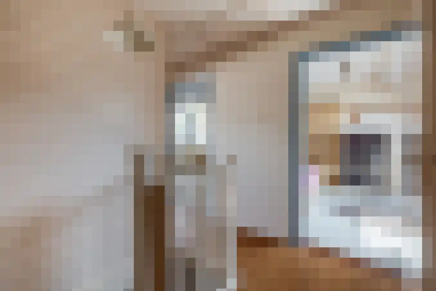 Grutto 8 Sommelsdijk thumbnail 25