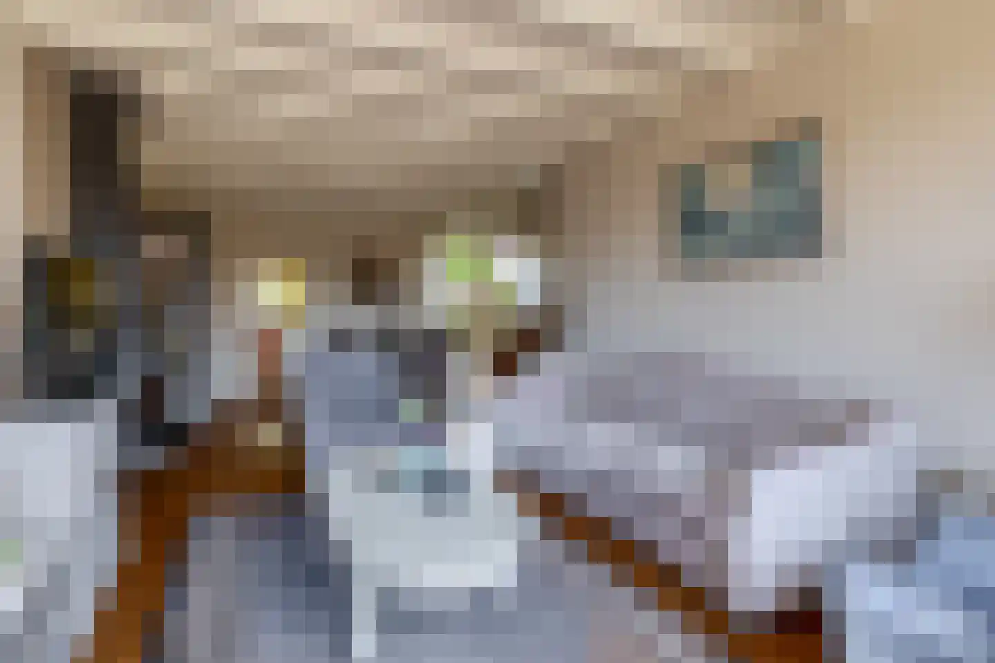 Grutto 8 Sommelsdijk thumbnail 9