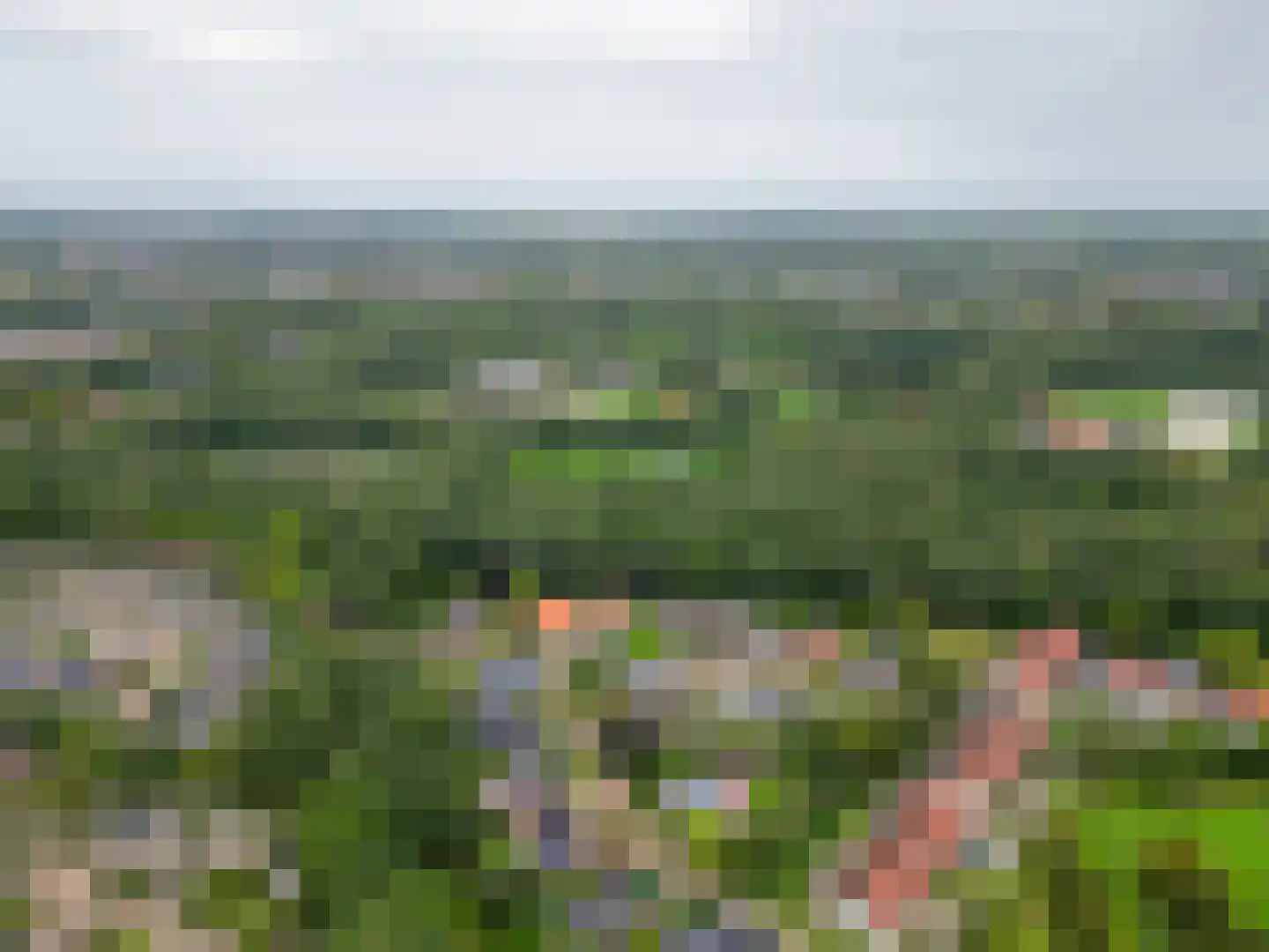 Grutto 9 Stadskanaal thumbnail 57