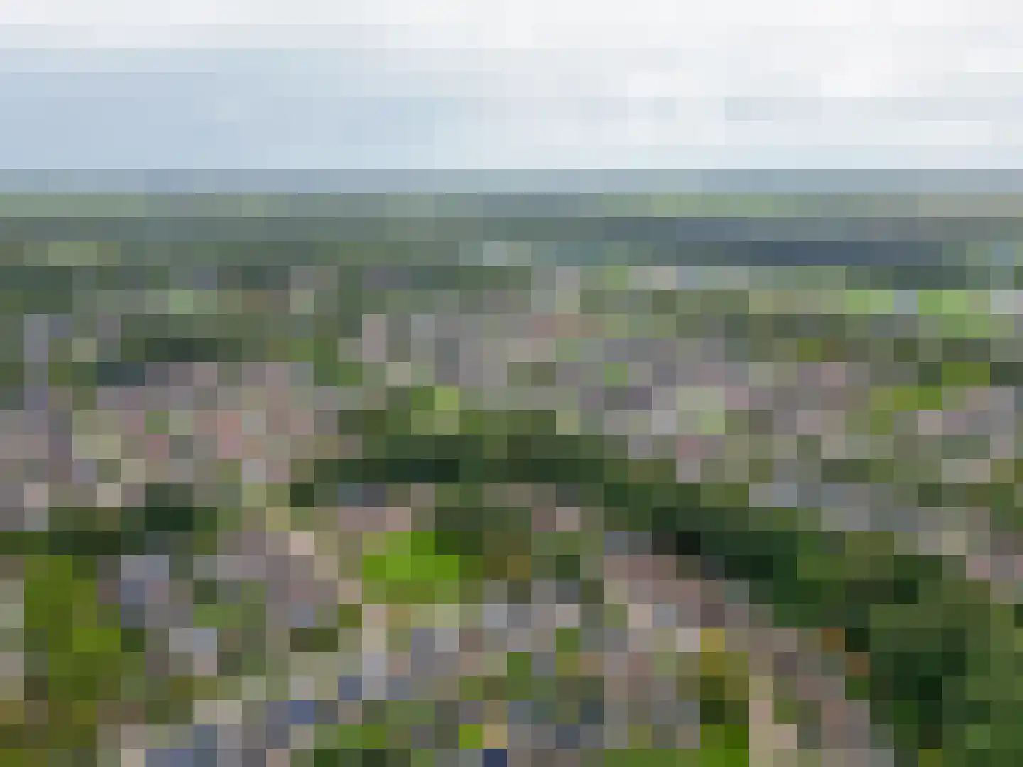 Grutto 9 Stadskanaal thumbnail 58