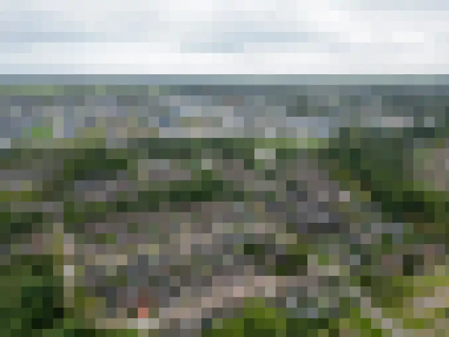 Grutto 9 Stadskanaal thumbnail 59