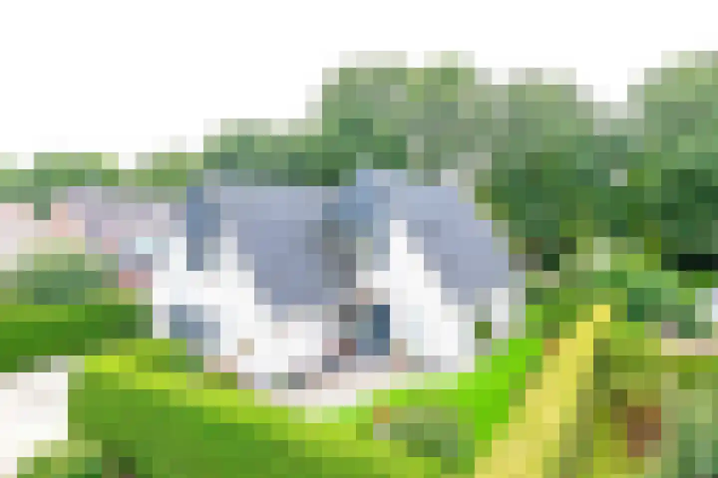Grutto 9 Stadskanaal thumbnail 7