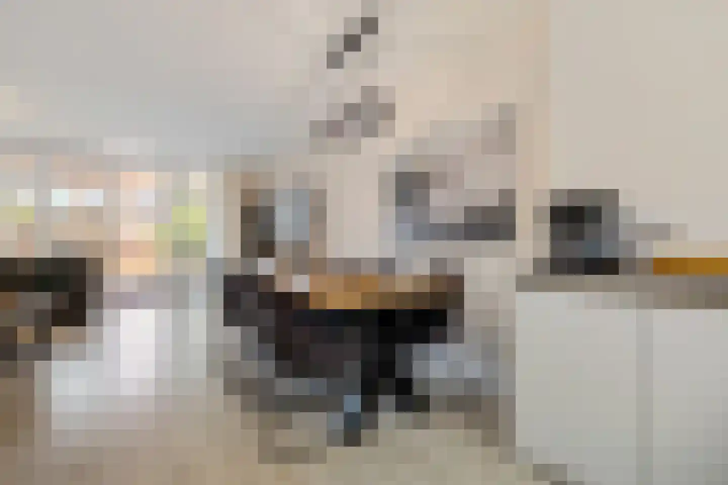 Grutto 98 Oss thumbnail 17