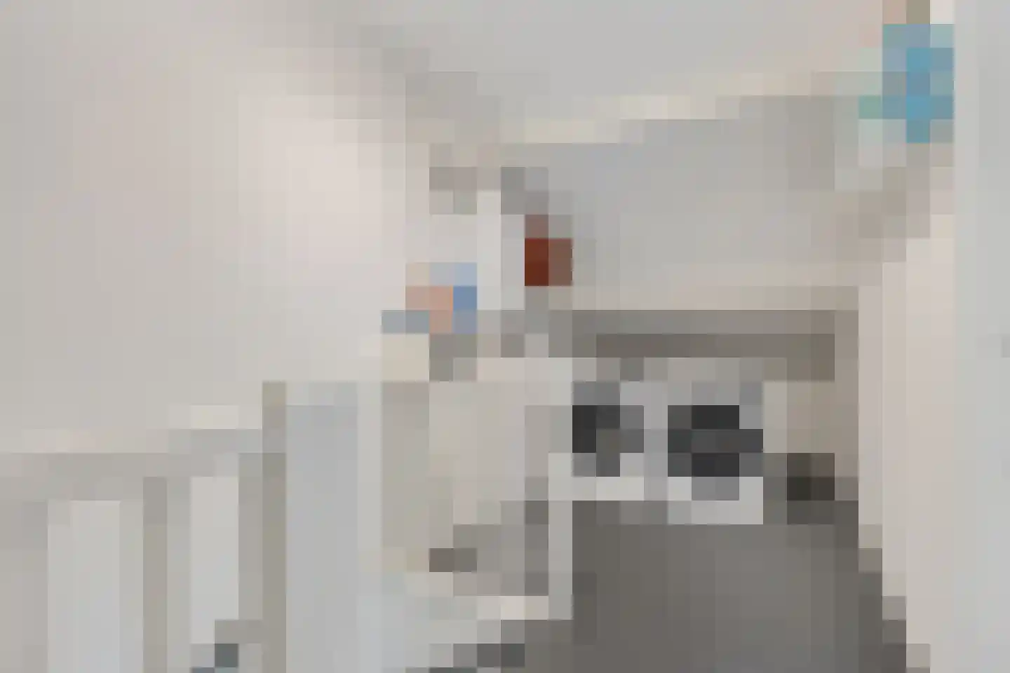 Grutto 98 Oss thumbnail 28