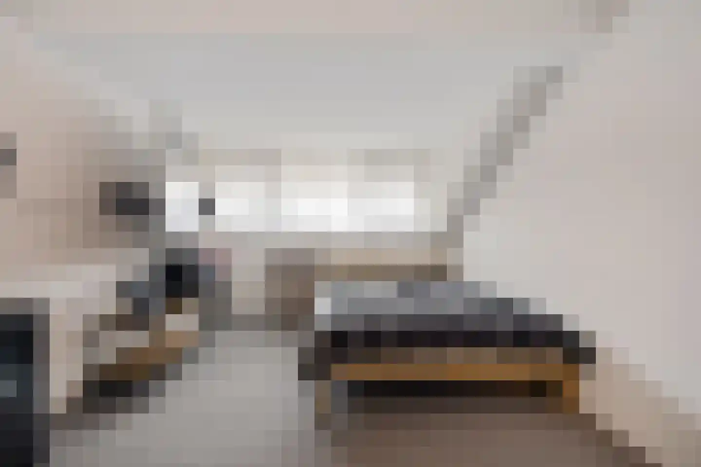 Grutto 98 Oss thumbnail 30