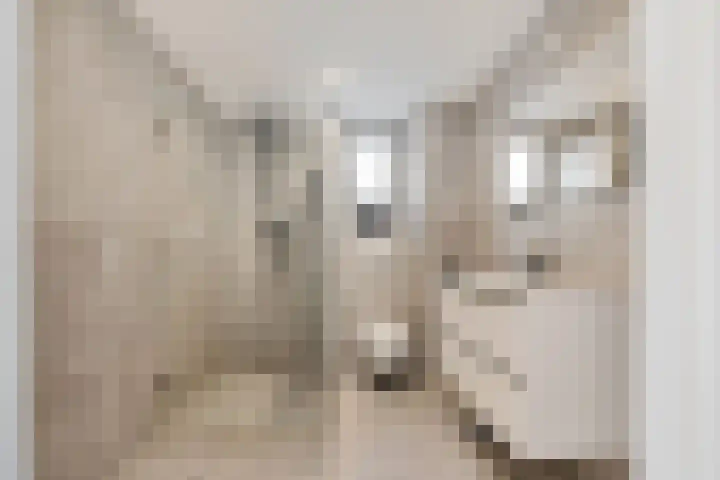 Grutto 98 Oss thumbnail 4