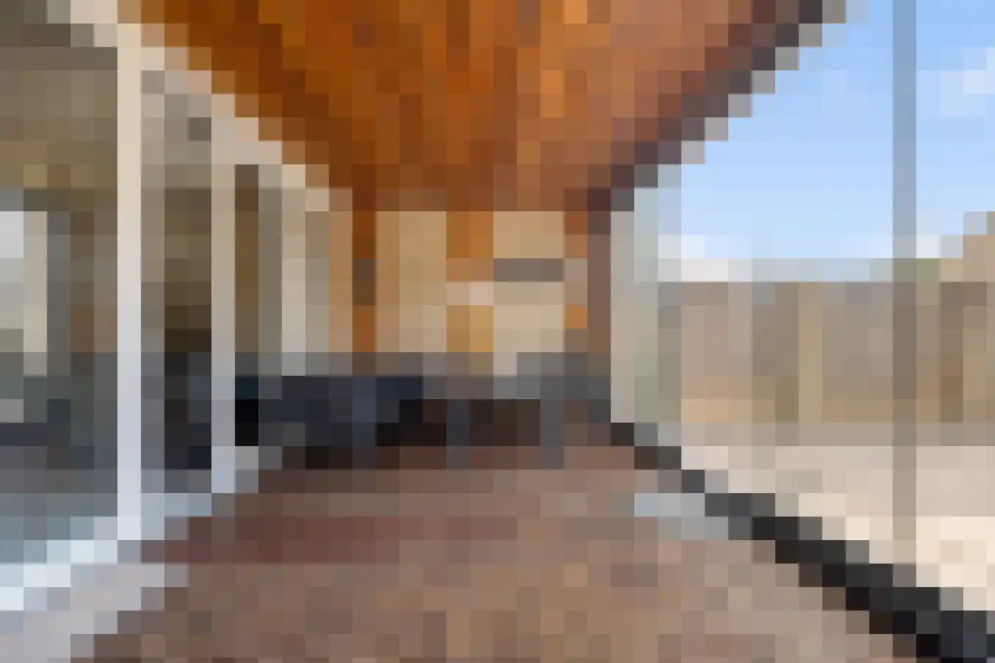 Grutto 98 Oss thumbnail 5