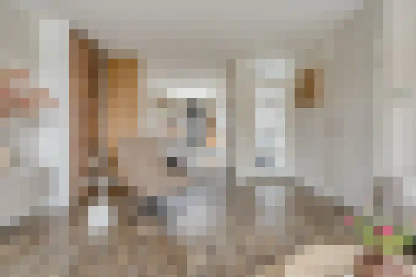 Grutto 99 Raalte thumbnail 12