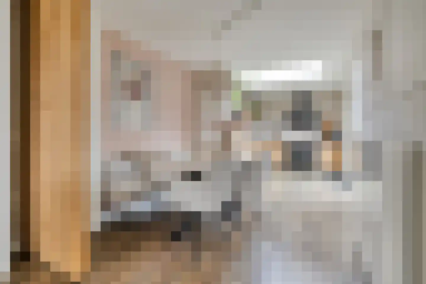 Grutto 99 Raalte thumbnail 13