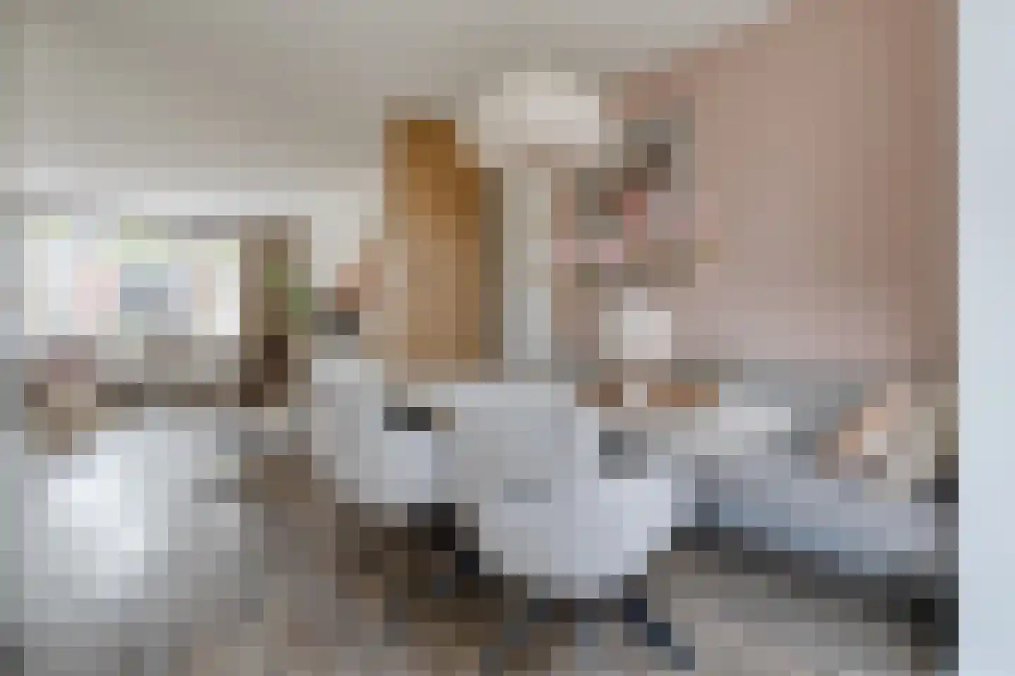 Grutto 99 Raalte thumbnail 15