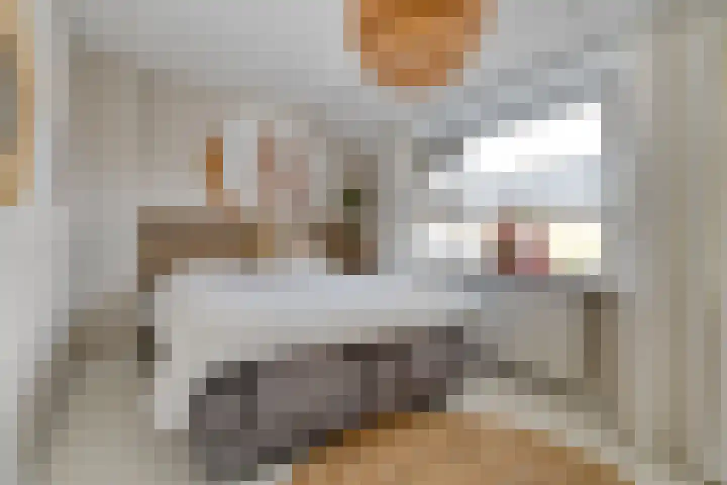 Grutto 99 Raalte thumbnail 24